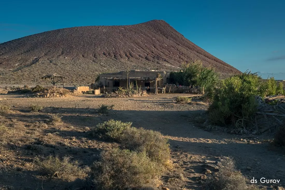 Tenerife daily: прогулка на лошадях | Green lifestyle blog